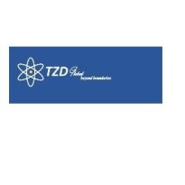 TZD Global Company Logo