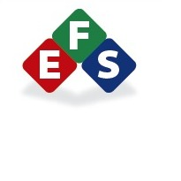 Electric Future Solutions Company Logo