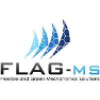 Flag-Ms