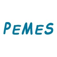 PeMeS Company Logo