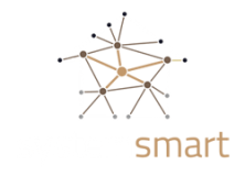 System Smart Company Logo