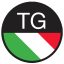 Tioni Group Company Logo