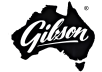 AE Gibson and Sons Company Logo